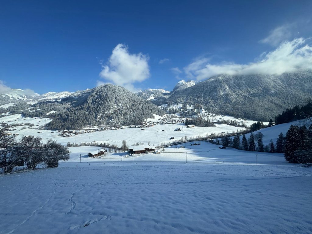 Mountains with a lot of snow and trees